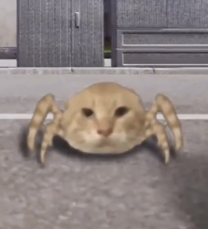お題画像