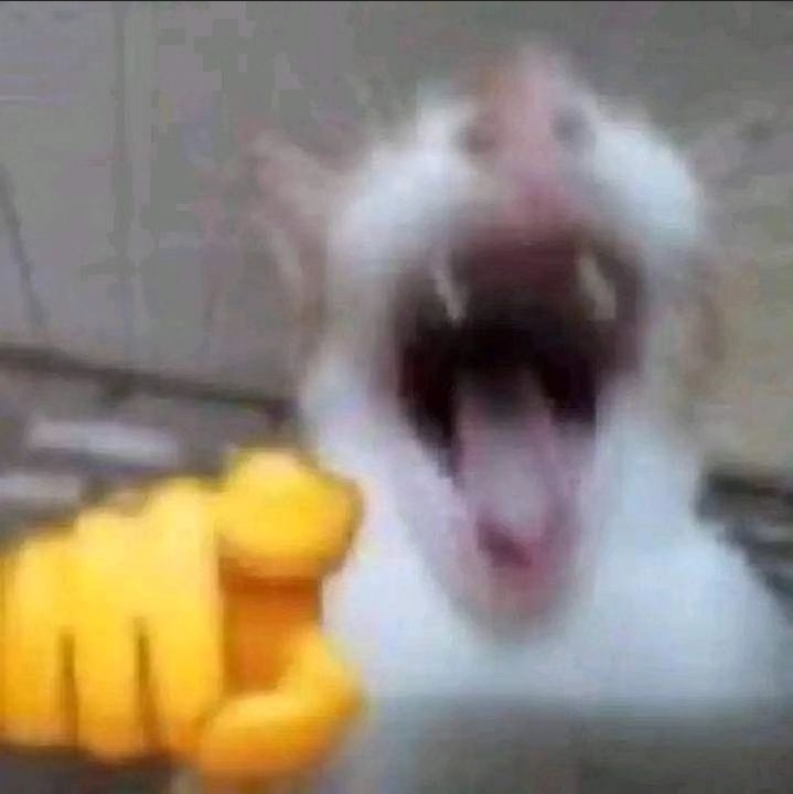第407回のお題画像